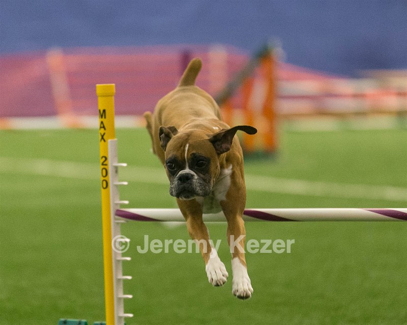 20150321-LEAP-1157.jpg