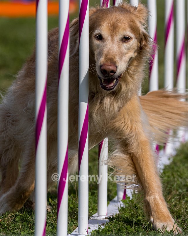 20230916-PVKC-1301.jpg