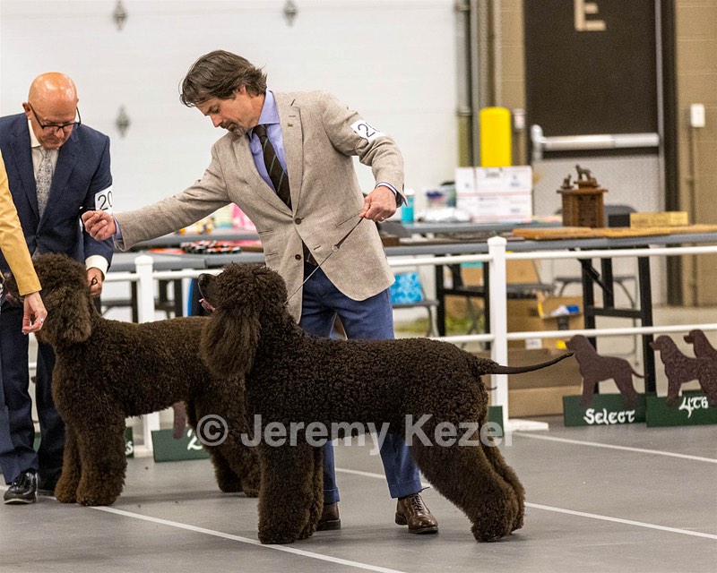 201 - CH Realta & Sycomore O’Boy
