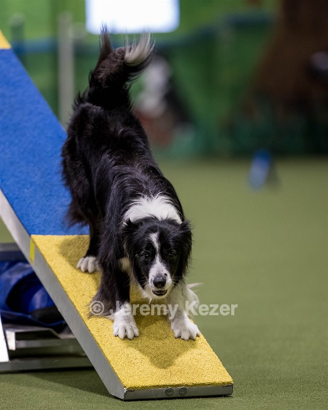Breeze Schunk