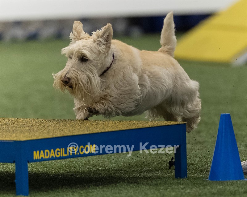 Monty Krapf