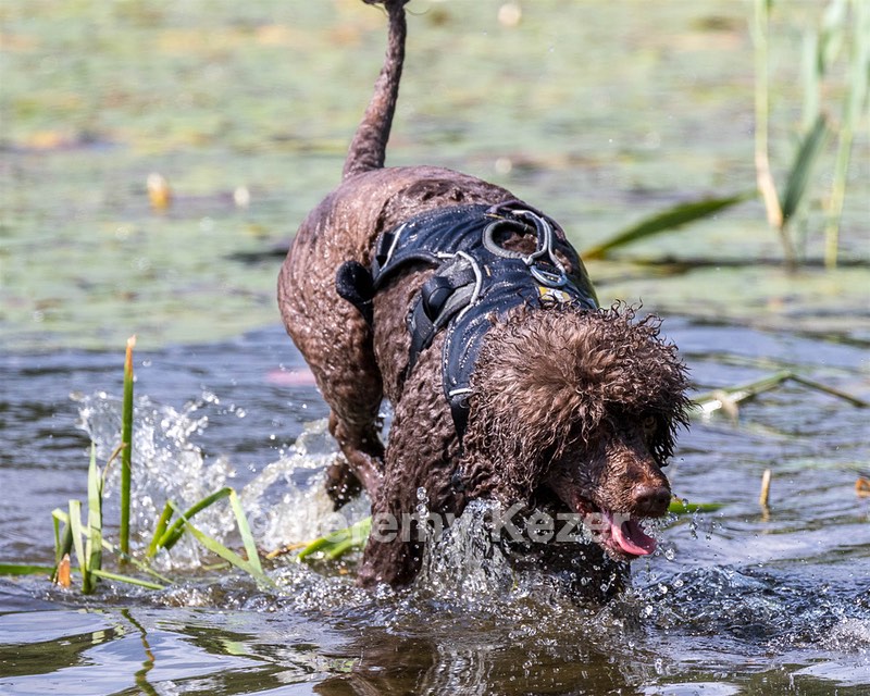 Mariah