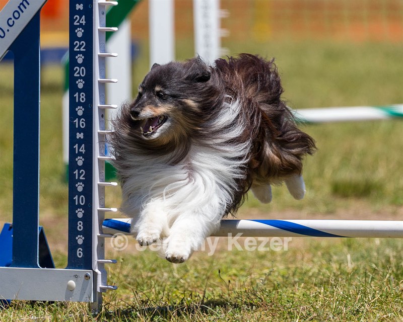 Daisy Witting