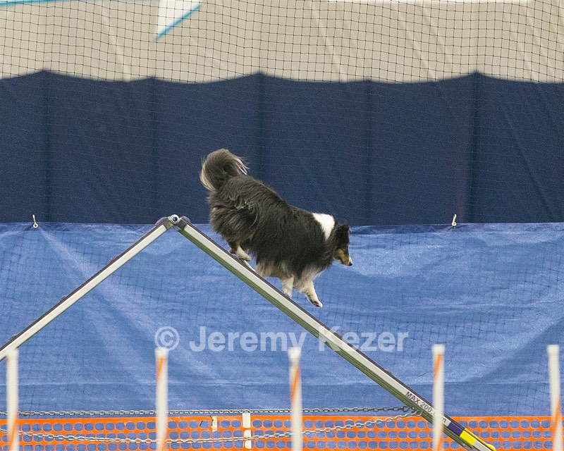 20150321-LEAP-1296.jpg