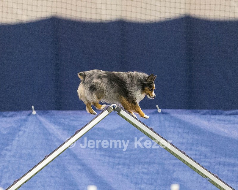 20150321-LEAP-1590.jpg