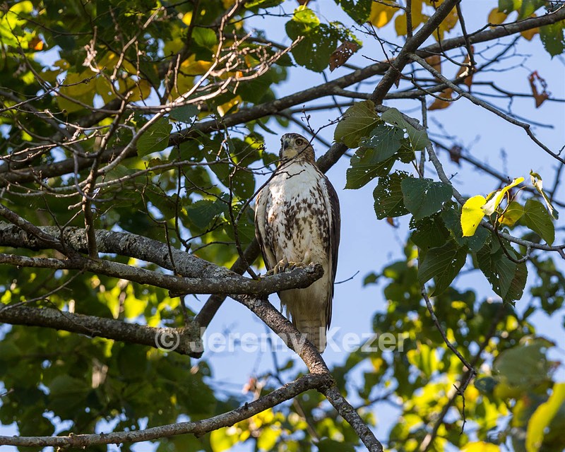 20160925-C-0050.jpg