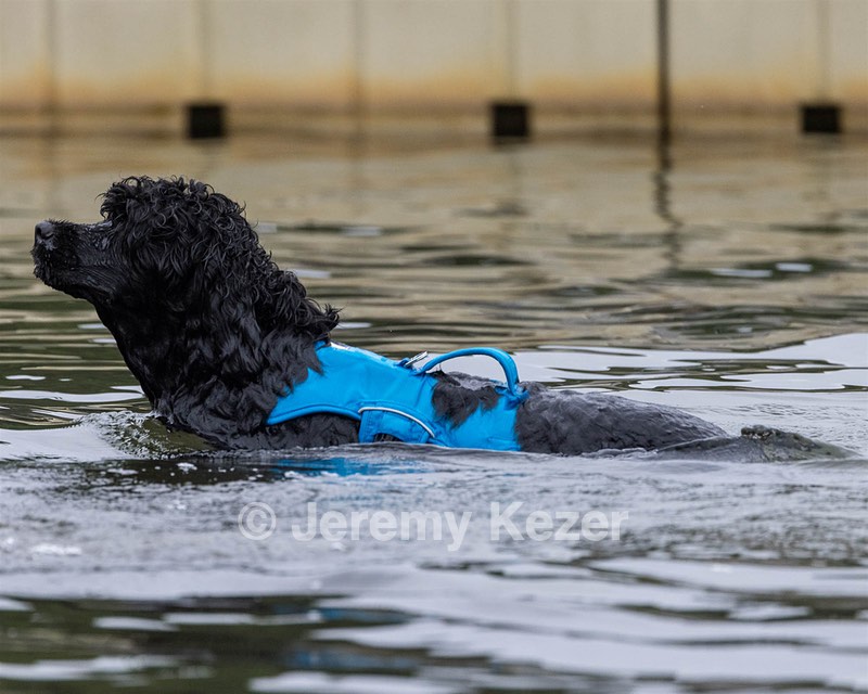 Camo Berger