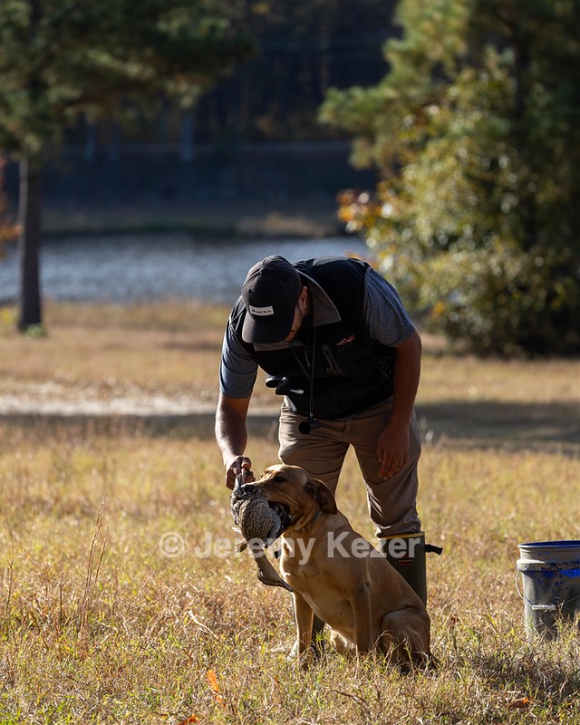 20241102-JHL-0236.jpg