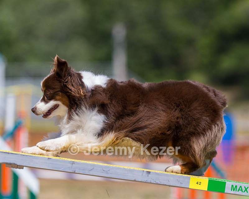 20160619-CCKC-1284.jpg