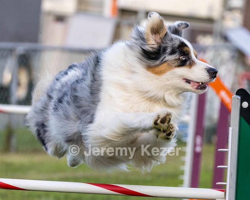 20230916-PVKC-1725.jpg