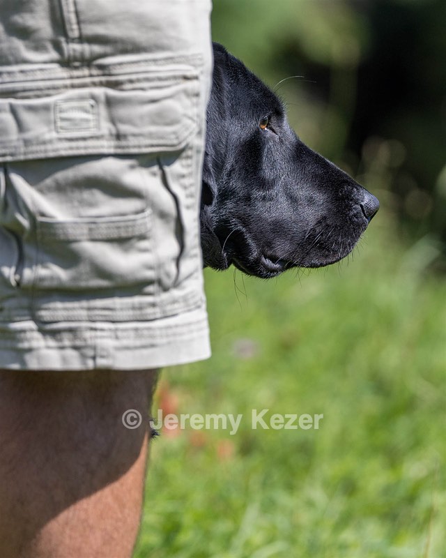 Maddie Viloria