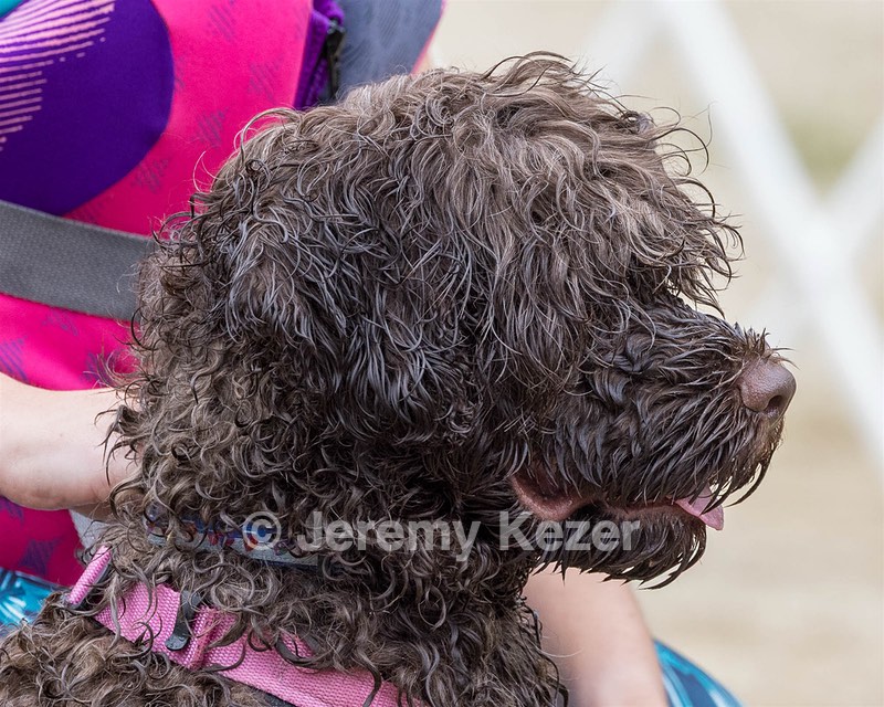 20220911-JWD-0046.jpg