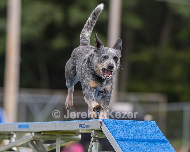 Bree Spetla