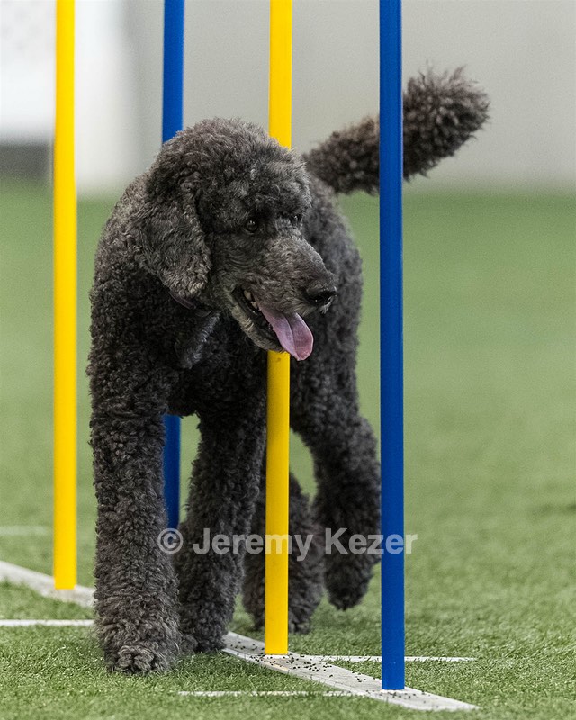 Zac Brown
