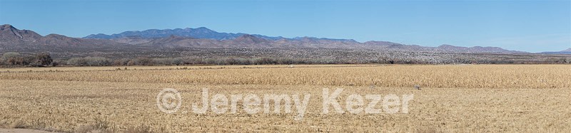 20151206-2492-Pano.jpg