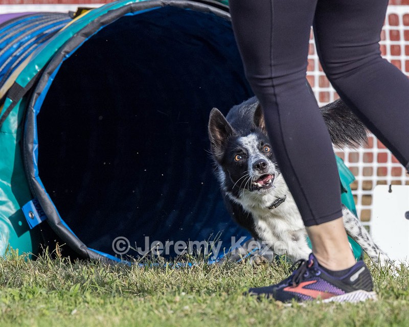 20230916-PVKC-1617.jpg
