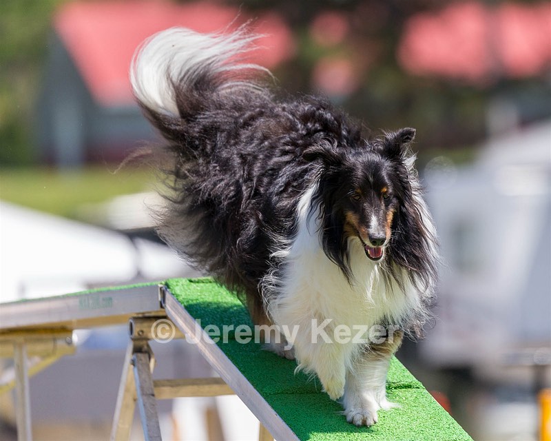 20180617-1376.jpg