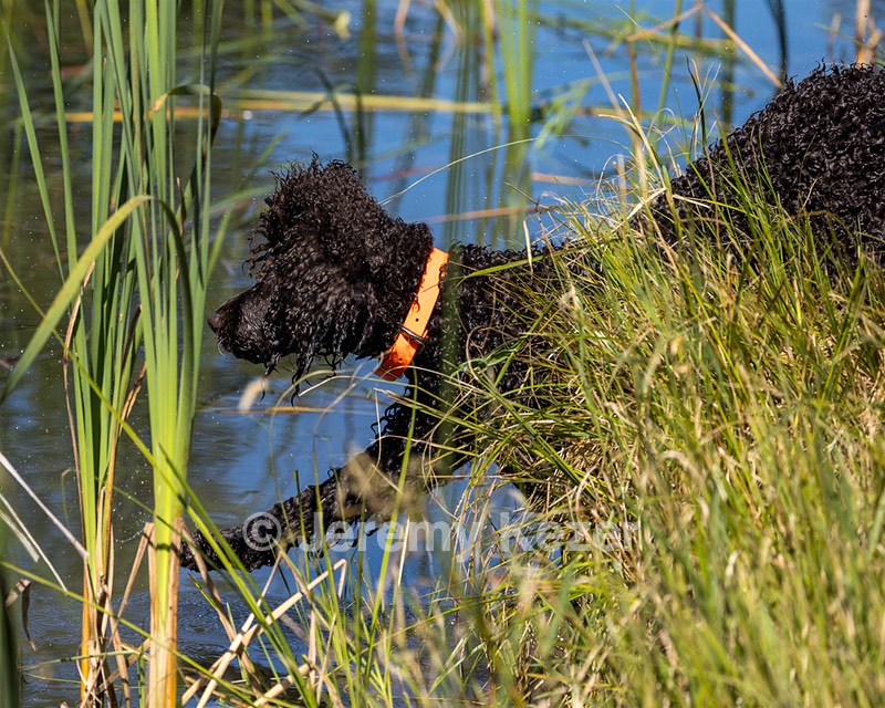 Ghillie Kezer