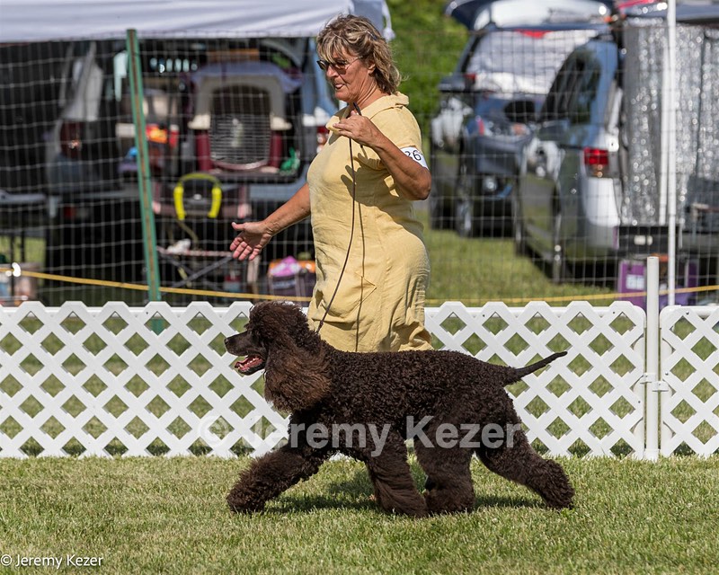 86 - GCH CH Chantico's The Power Of One (Allure)
