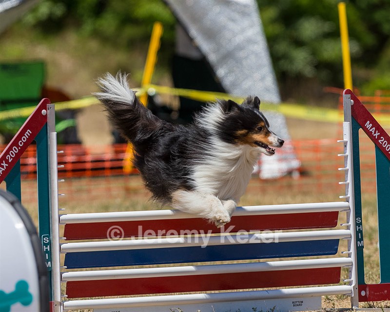 20160619-CCKC-1269.jpg