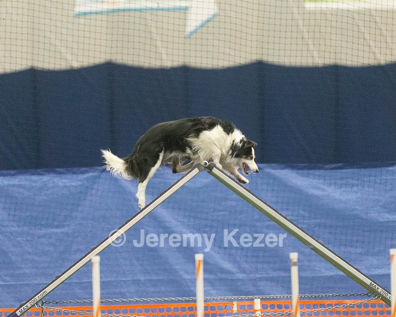 20150321-LEAP-0873.jpg