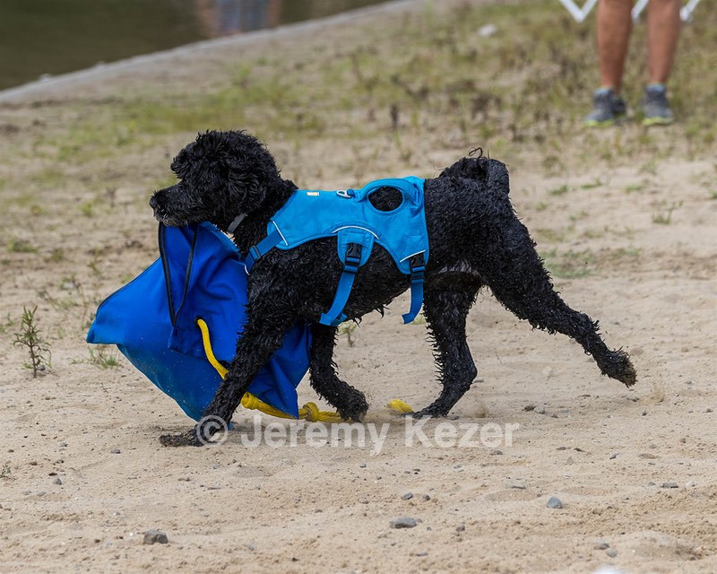 Fenwick Kutner