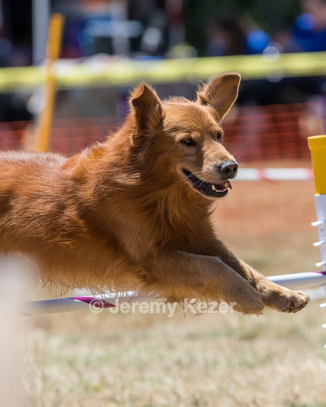 20160618-CCKC-1480.jpg