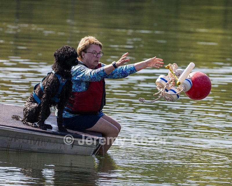 Boaty Bellicose