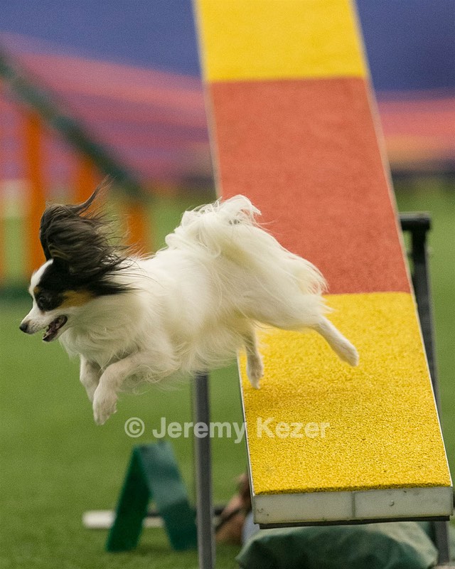 20150321-LEAP-1782.jpg