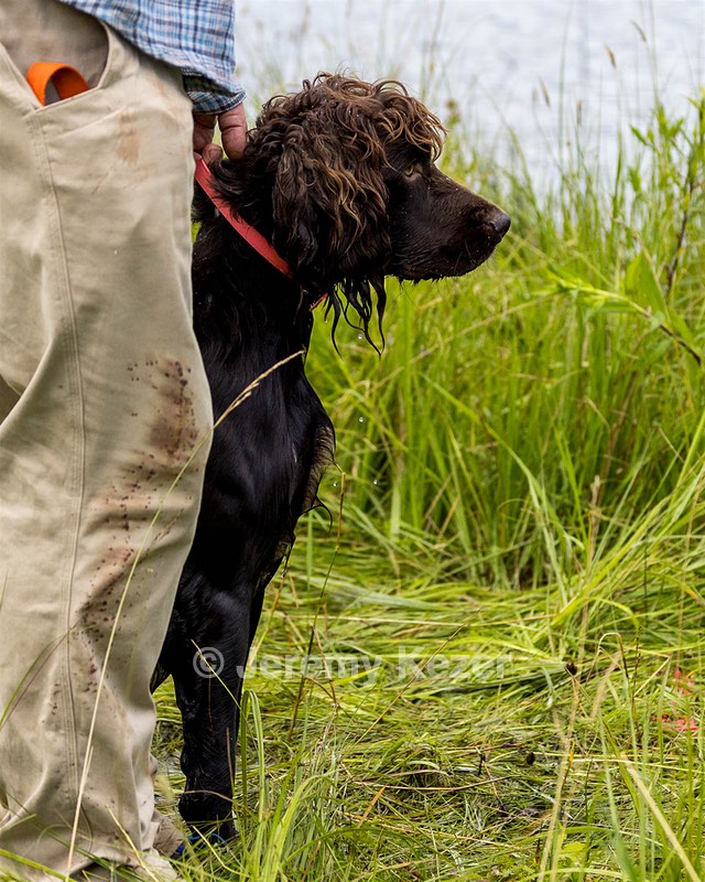 Tucker Will