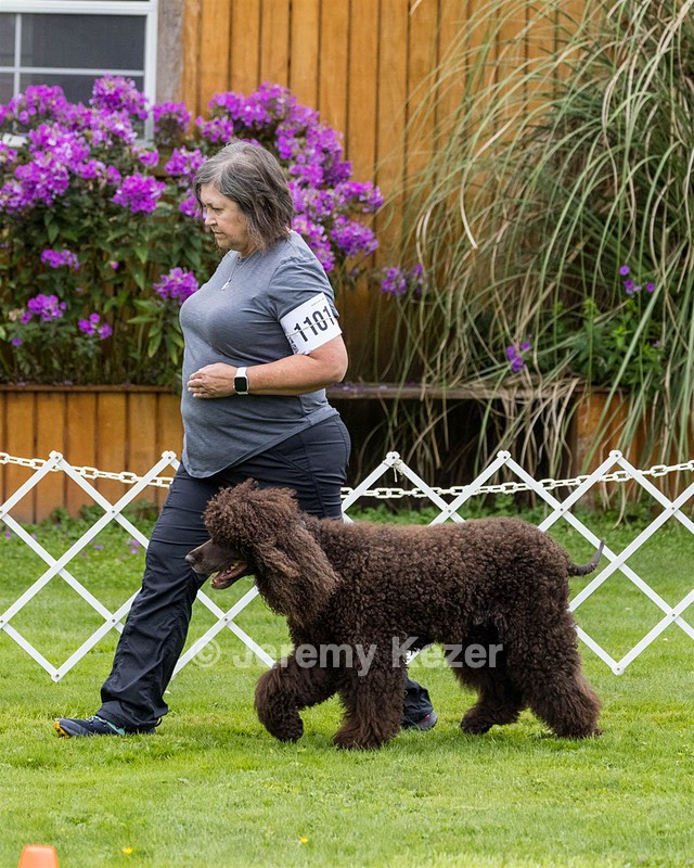 1101 - FINNIBONE'S CUZ MAMA CAN RE DS DJA CGC TKN VHMA (Mama Cass)