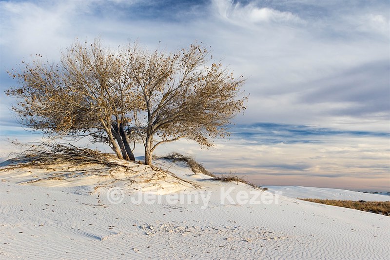 White Sands National Monument, New Mexico