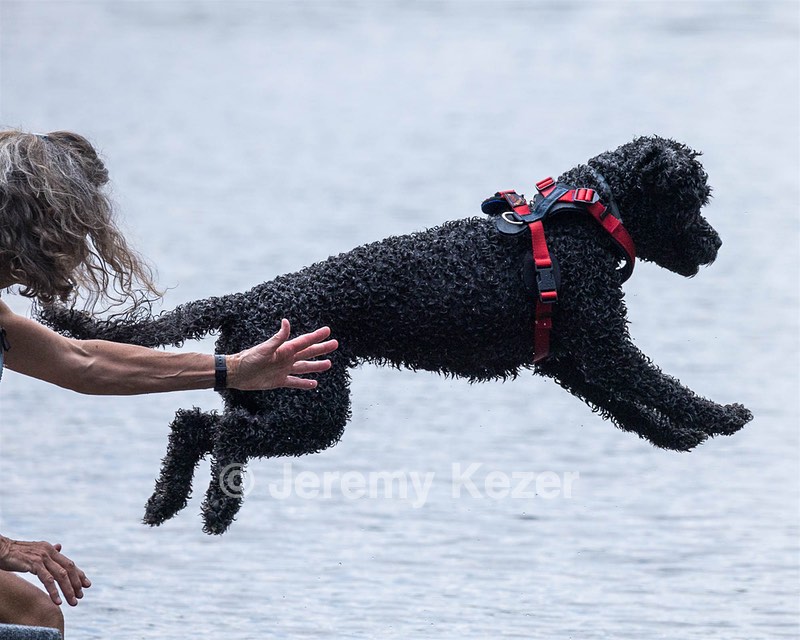 Nova Cox