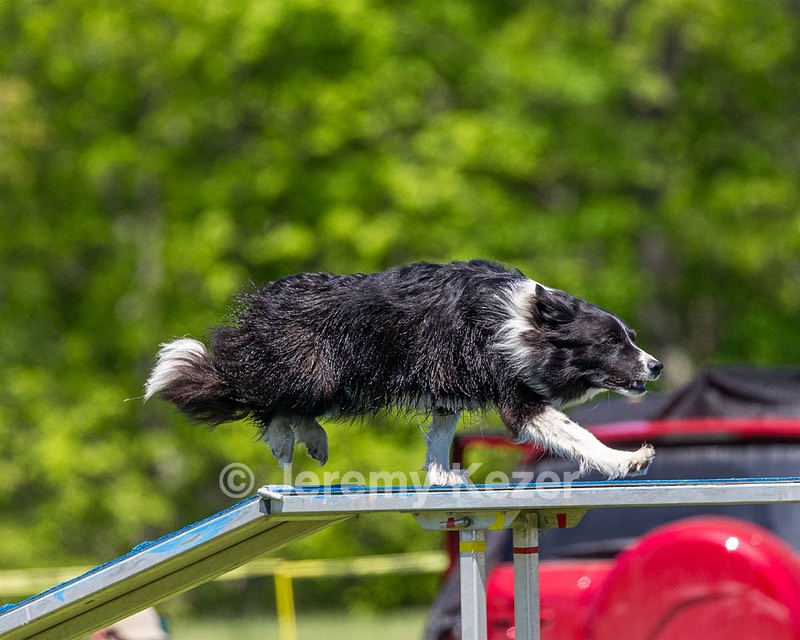 20170520-NEAT-1141.jpg