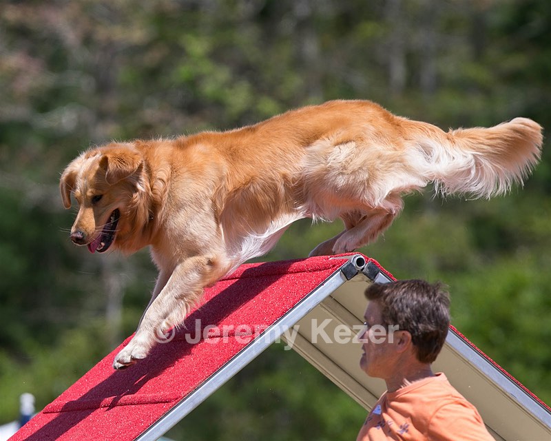 20150613-CCKC-0351.jpg