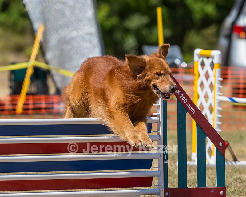 20160619-CCKC-1374.jpg