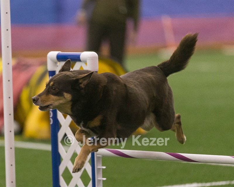 20150321-LEAP-0364.jpg