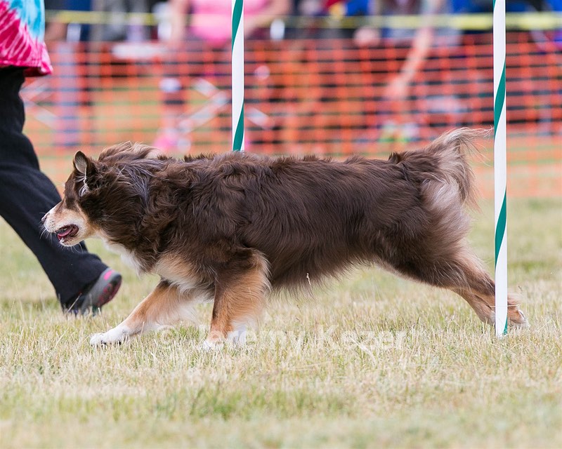 20150612-CCKC-0054.jpg
