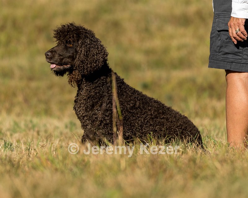 Ghillie Kezer