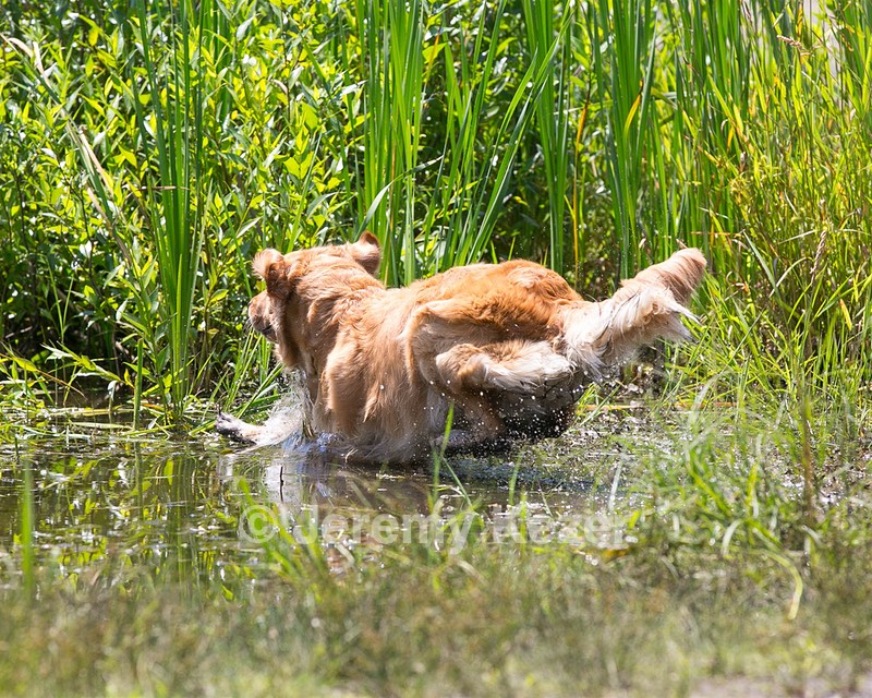 20130714-MHB2-0045.jpg