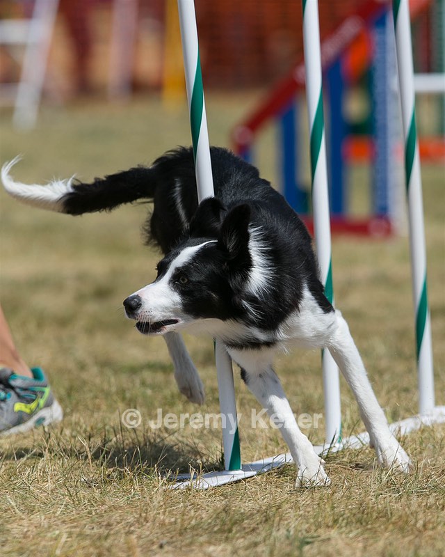 20150614-CCKC-1751.jpg