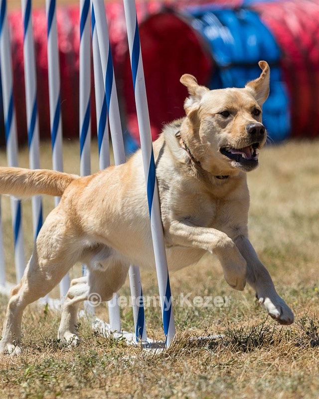 20160618-CCKC-1611.jpg