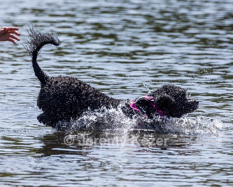 Tango Abbruzzese
