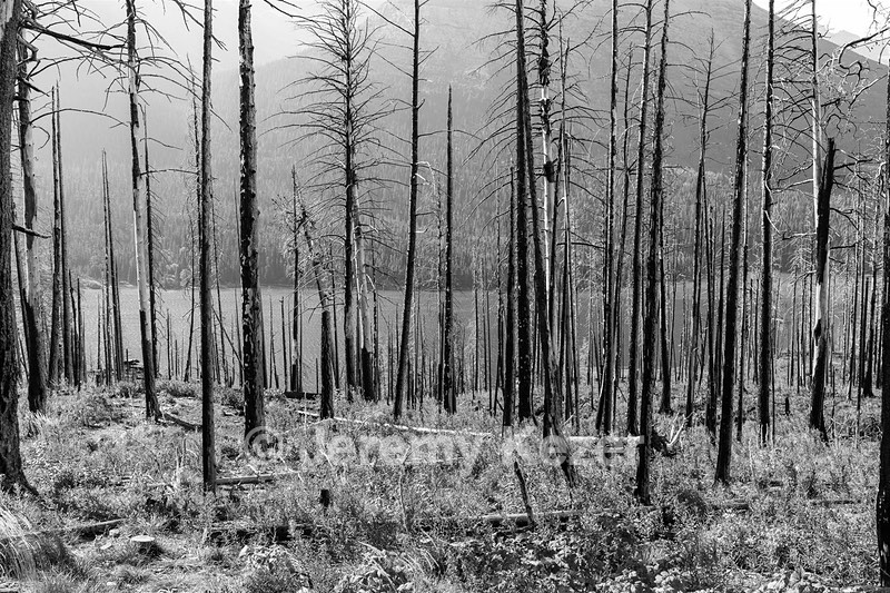 Glacier National Park
