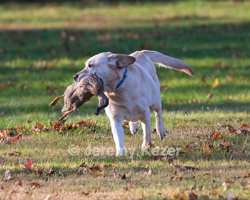 20131027-WCL-0008.jpg