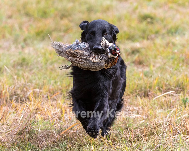 20161008-WCL-0018.jpg