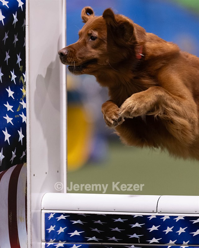 20260221-0233.jpg