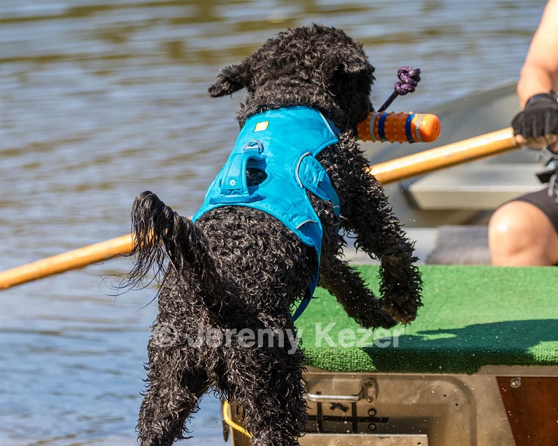 Fenwick Janet