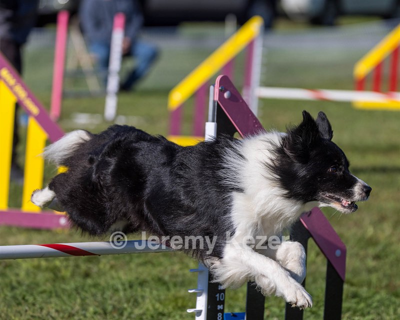 20230917-PVKC-2039.jpg