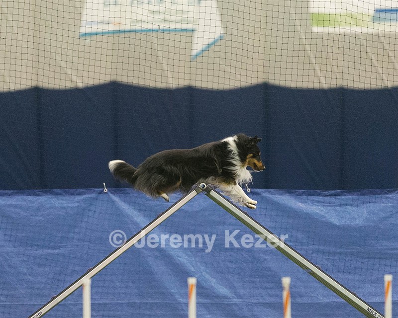 20150321-LEAP-1291.jpg